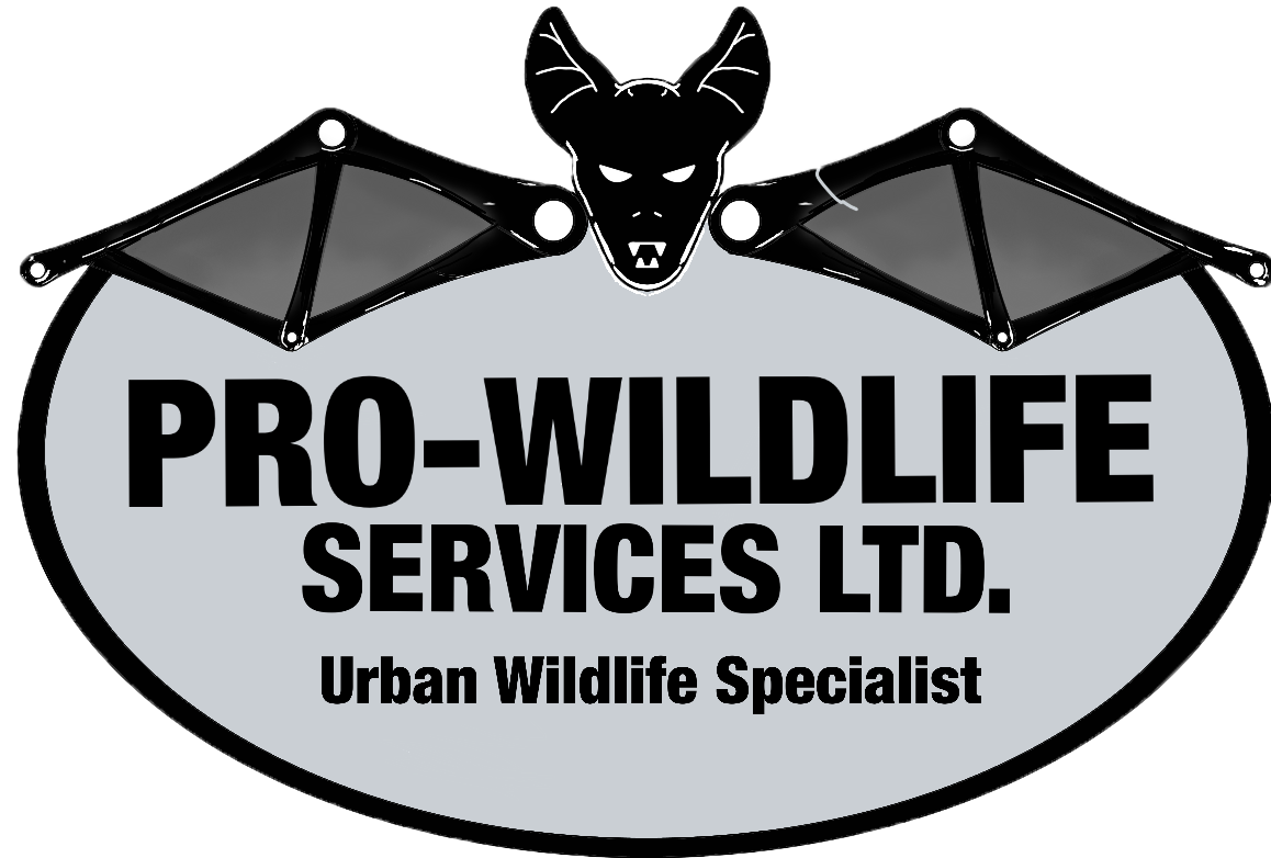 pro-wildlife.png